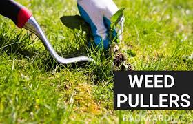 5 Best Weed Puller Tools To Buy In 2023