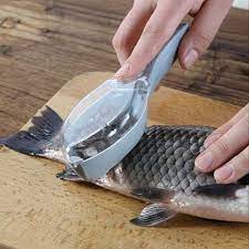 Fish Scale Scraper, Fish Scale Remover, Fish Skin Remover, Fish Scale  Scraper, मछली स्केलर in Katargam, Surat , Hetvi Trend | ID: 23009031862