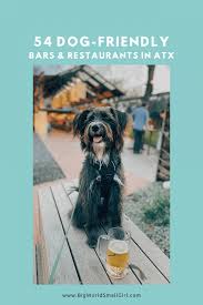 54 amazingly dog friendly restaurants