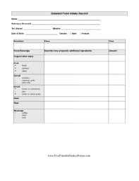Detailed Daily Food Intake Record Printable Medical Form