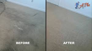 carpet cleaning indya plus carpet cleaning