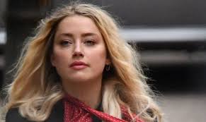 Aquaman 2 producer peter safran confirmed that amber heard would reprise her role as mera in aquaman 2 despite vicious online attacks from johnny depp fans. Amber Heard Wiki Bio Age Husband Children Family Net Worth