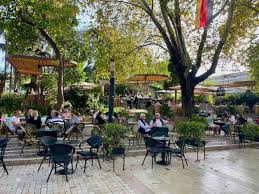 11 Best Restaurants in Tirana, Albania (2024)