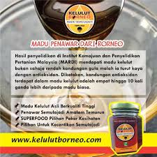 Secara umumnya, madu mempunyai khasiat kepada kesuburan dengan menambahbaik hormon yang berkaitan dengan kesuburan. Kelulut Borneo Kelulutborneo Profile Pinterest
