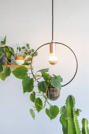 Paulmann Plant Lamps Old Fashioned Light Bulbs Plant Lighting Plant Decor