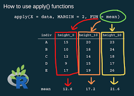 apply functions in r r for ecology