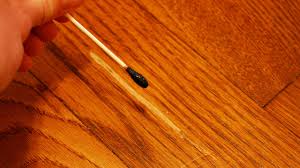 how to touch up scratch in hardwood floor