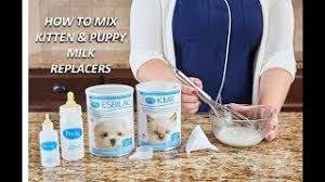 But first, we'd like to present to you our picks for the. 6 Best Puppy Milk Replacers May 2021 Reviews The Goody Pet