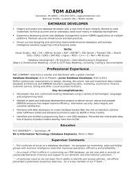 Sample Resume For A Midlevel It Developer Monster Com With Linkedin