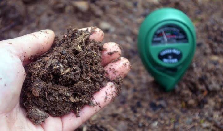 FACTORS INFLUENCING NUTRIENT AVAILABILITY IN THE SOIL