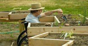 How To Create A More Accessible Garden