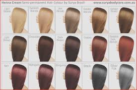 Ion Color Brilliance Demi Permanent Hair Color Chart Www