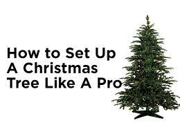 How to Set Up a Christmas Tree Like a Pro — 1000Bulbs.com Blog