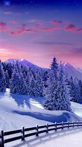 Winter landscape, snow, tree, HD mobile ...