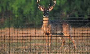 Deer Proof Fencing Rabbit Proof