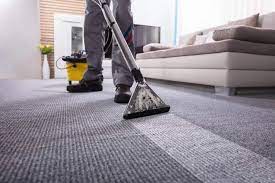 14 best sf carpet rug cleaners to