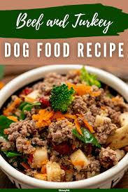 homemade beef dog food recipes