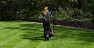 7 Best Lawn Mower For Making Stripes