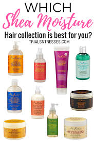 Which Shea Moisture Hair Collection Is Best For You