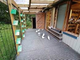 pigeons loft design how to make best