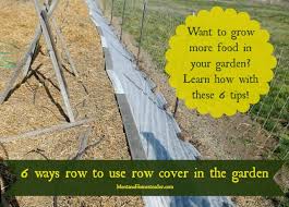 6 ways row cover in a garden will help