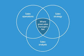 Sales Management Process Definition Strategies Resources