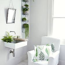 The Best Bathroom Plants For Your