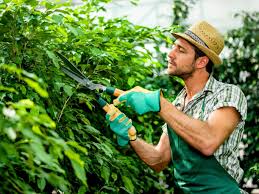3 questions for hiring a gardener