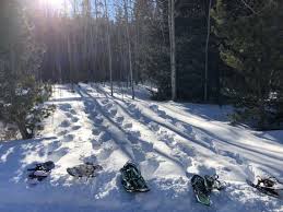 Womens Snowshoe Selection Guide Outdoorgearlab