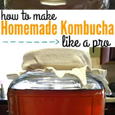 homemade kombucha recipe 1 gallon