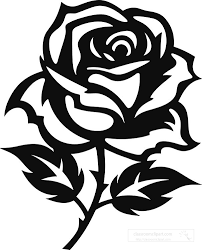single rose flower black outline