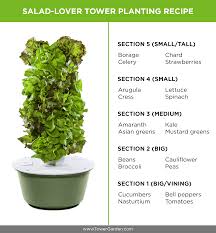 how to grow your own sensational salads