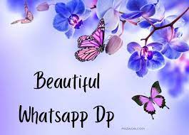 70 latest beautiful whatsapp dp to