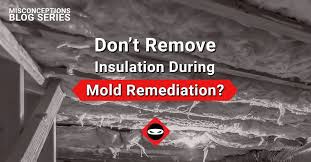 Sub Floor Insulation When Treating Mold