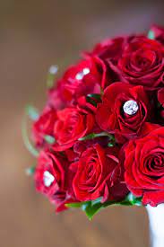 red roses bridal bouquet free stock