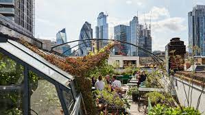 11 Best Rooftop Restaurants In London