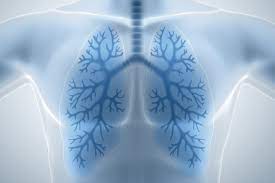 Nodule au poumon : est-ce un cancer ?