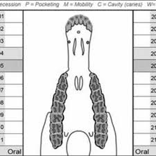 Equine Dental Chart An Equine Dental Chart Is Used To