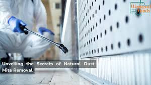 natural dust mite removal unveiling