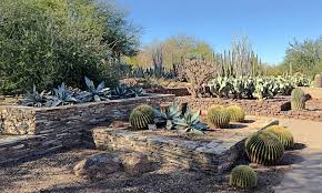 desert botanical gardens in arizona
