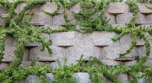 Keystone Plantable Ii Retaining Wall