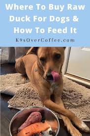 homemade raw dog food k9sovercoffee