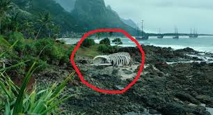The kraken is a fictional sea monster in the pirates of the caribbean film series. Is That The Kraken S Skeleton From At World S End Movies Tv Stack Exchange