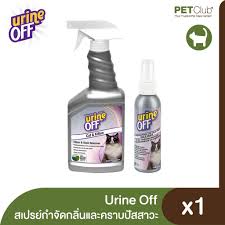 urine off odor and stain remover cat