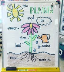 10 anchor chart ideas you re going to