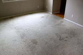 area rug cleaning carpet repair toms