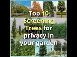 screening trees you