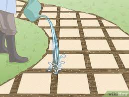 How To Grow Grass Between Pavers 12