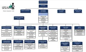 b 11 citywide organizational chart