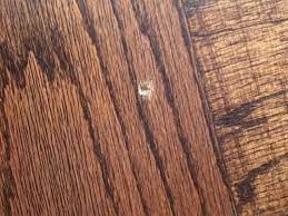 how to repair a gouged wood floor the
